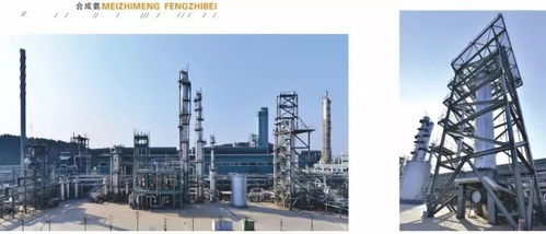 四川美豐一項關鍵化工工藝通過科技成果鑒定,引領行業(yè)綠色高效發(fā)展